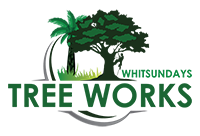 Whitsundays Tree Works
