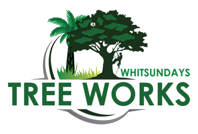 Whitsundays Tree Works