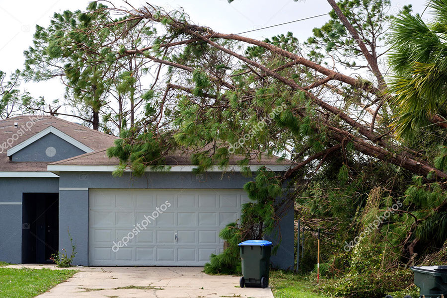 Storm Damage Repairs