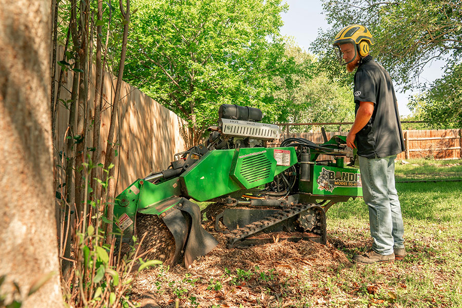 Stump Grinding Whitsundays
