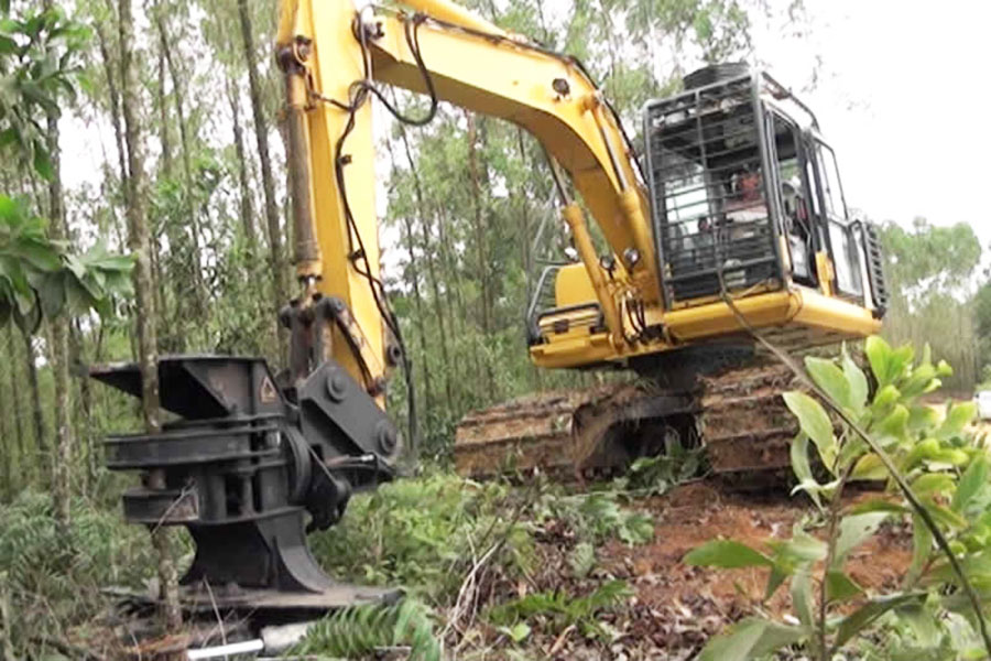 Tree Removal Land Clearance