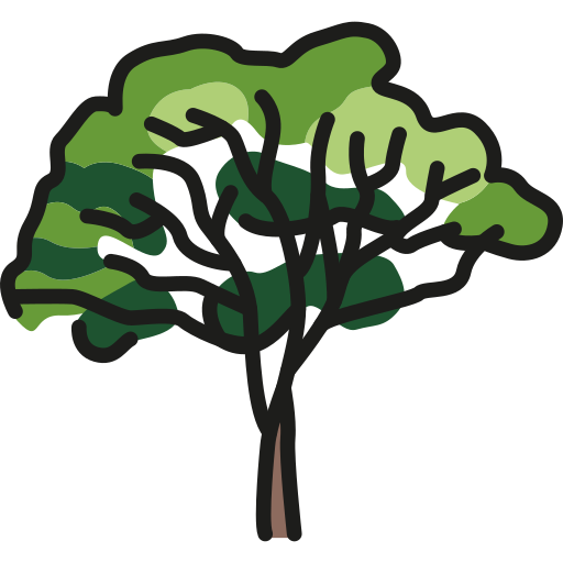 tree arborist Whitsundays