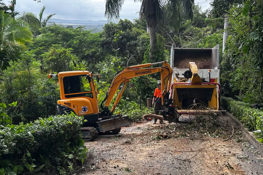 Bulk land clearing